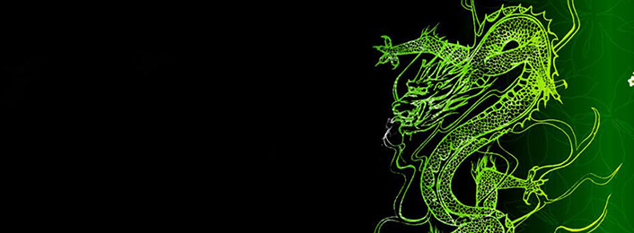 Le dragon de jade